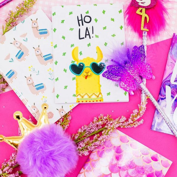 WhatsApp Image 2019-08-12 at 3.23.44 PM (3)