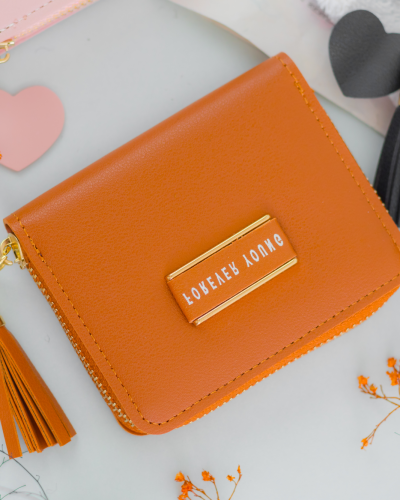 cartera (1)