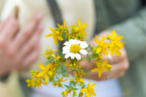primavera primavera